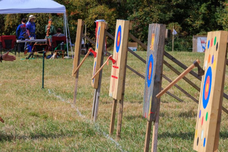 Throwing axes embedded in their targets