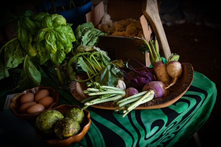 A collection of vegetables and herbs