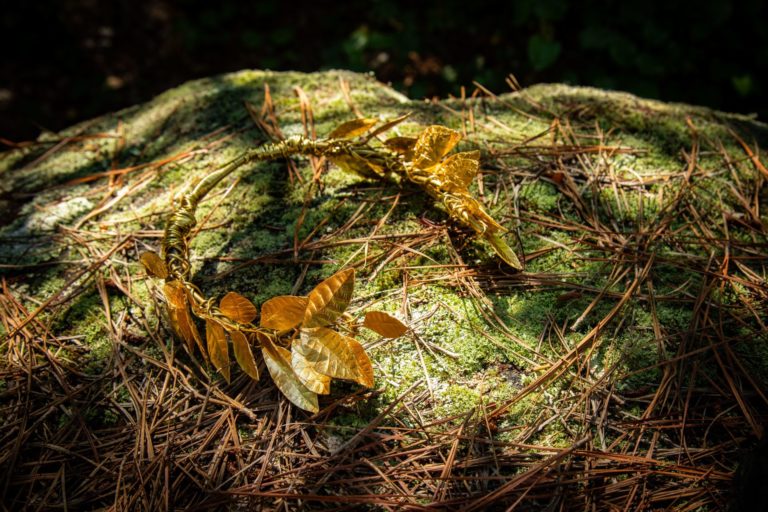 A golden laurel leaf circlet in the woods